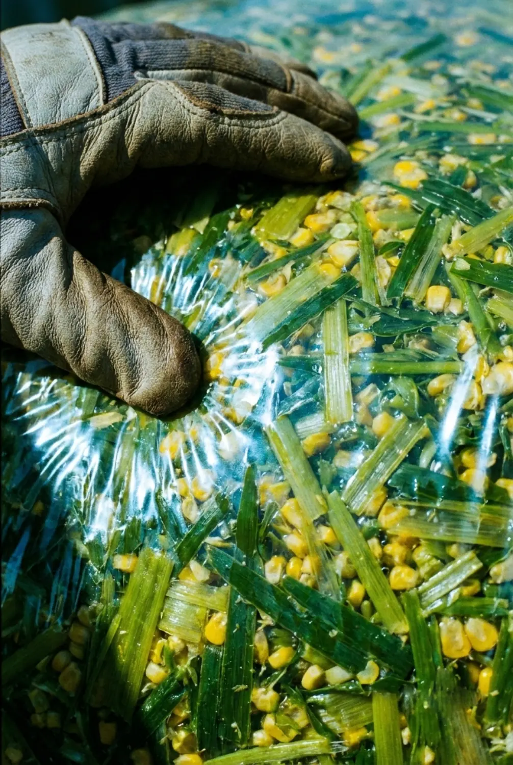 folia podkladowa pion