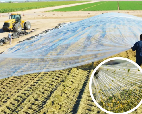 folia podkładowa pryzmowa dektra