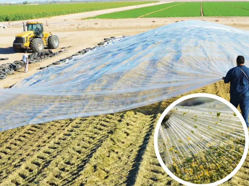 folia podkładowa pryzmowa kiszonkarska transparentna dektra